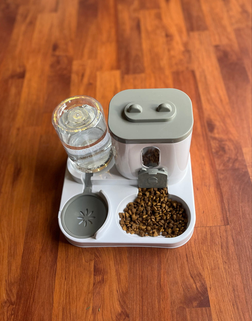 PawPace gravity feeder and waterer with food and water — real product photo