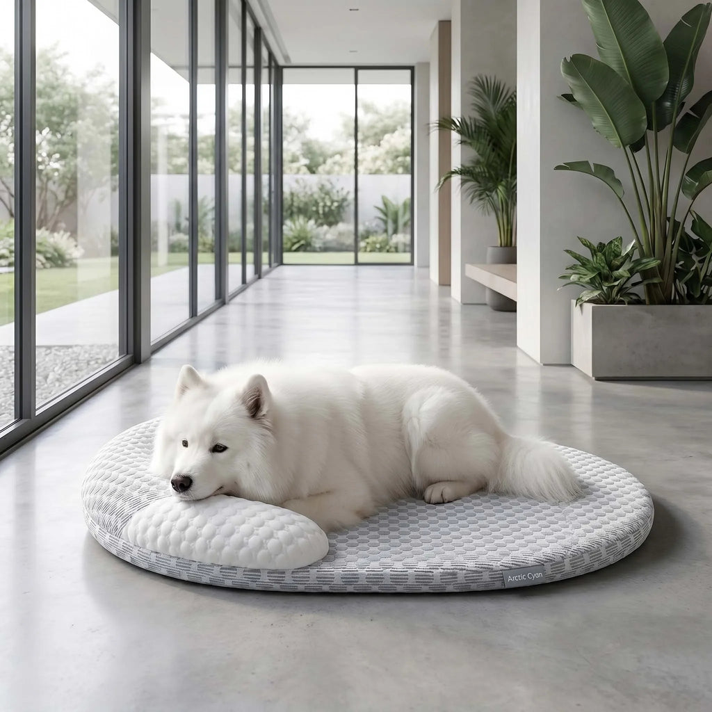 PawPace Cooling Pet Bed — Cool, Calm, Zoomie-Proof