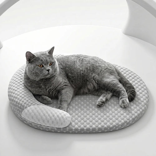 PawPace Cooling Pet Bed — Cool, Calm, Zoomie-Proof